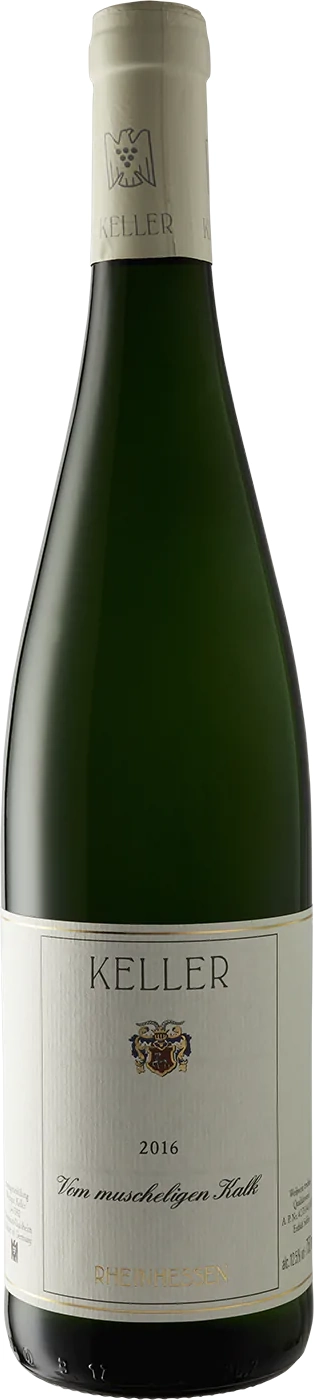 Keller Vom Muscheligen Kalk