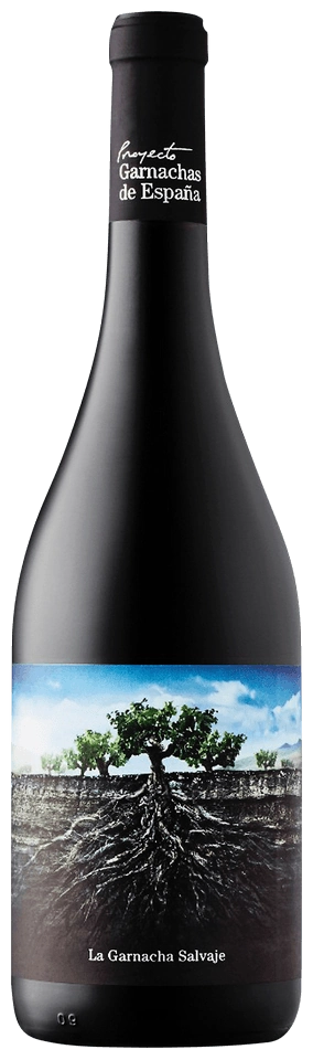 Proyecto Garnachas de España La Garnacha Salvaje del Moncayo