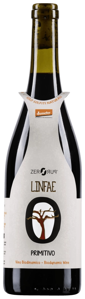 Zero Puro Linfae Primitivo