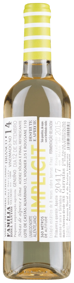 Jorge Rosa Santos Implicit Branco