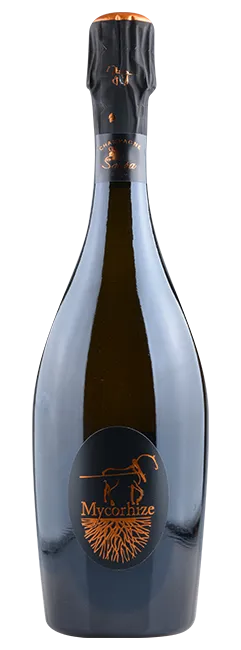 Bottle of De Sousa Mycorhize Extra Brut Champagne Grand Cru 'Avize' from search results