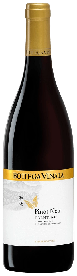 Bottega Vinaia Pinot Nero
