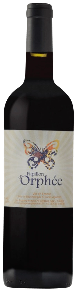 Stephane Lucas Papillon d'Orphee