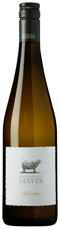Landhaus Mayer Riesling