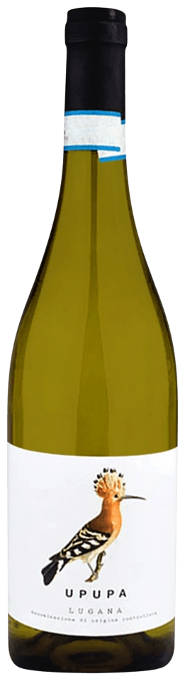 Malavasi Upupa Lugana