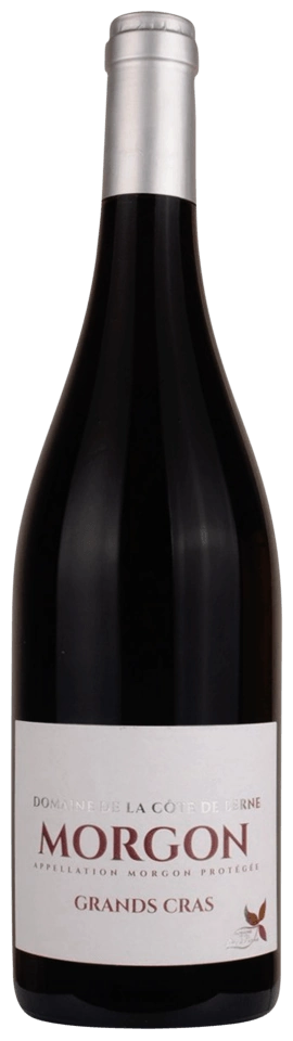 Domaine de la Côte de Berne Morgon Grand Cras