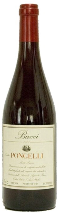Bucci Tenuta Pongelli Rosso Piceno