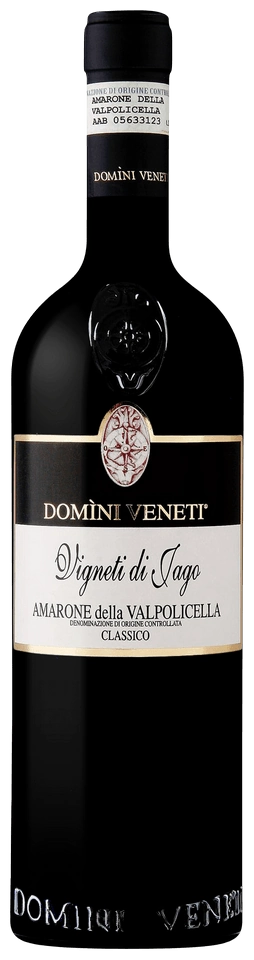 Domini Veneti Vigneti di Jago Amarone della Valpolicella Classico