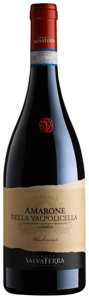 SalvaTerra Amarone della Valpolicella Classico