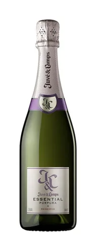 Bottle of Juvé & Camps Cava Reserva Brut Cinta Purpura from search results