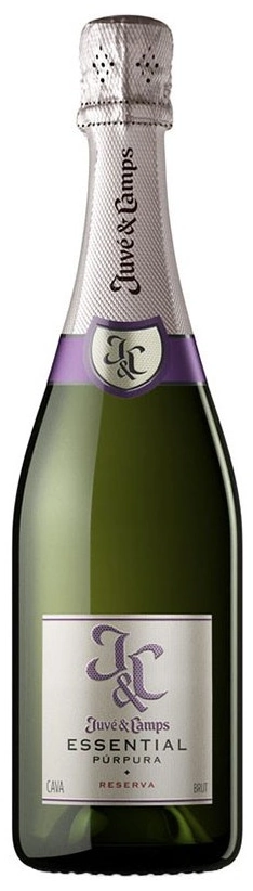 Juvé & Camps Cava Reserva Brut Cinta Purpura