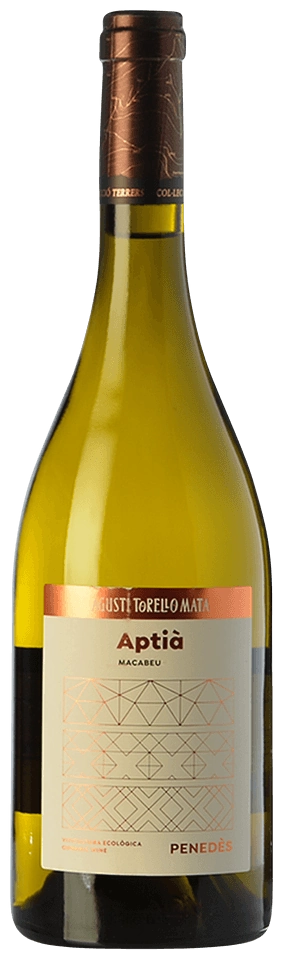 Agusti Torello Mata Aptia Macabeu