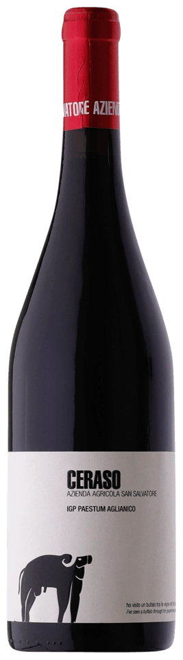 San Salvatore Ceraso Aglianico Paestum