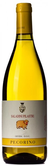 Saladini Pilastri Pecorino Offida