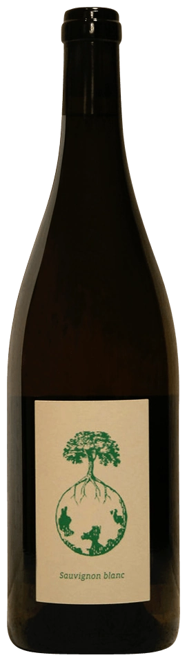 Werlitsch Sauvignon Blanc