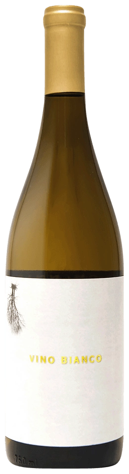 Channing Daughters Vino Bianco