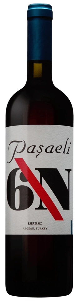 Paşaeli 6N Karasakiz