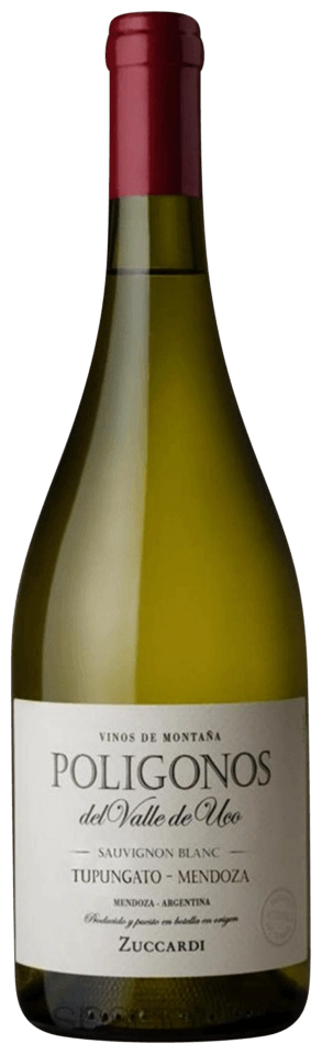 Zuccardi Poligonos Sauvignon Blanc