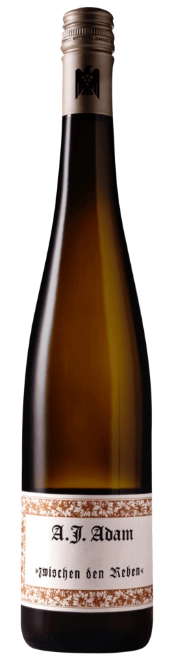 A. J. Adam Zwischen den Reben