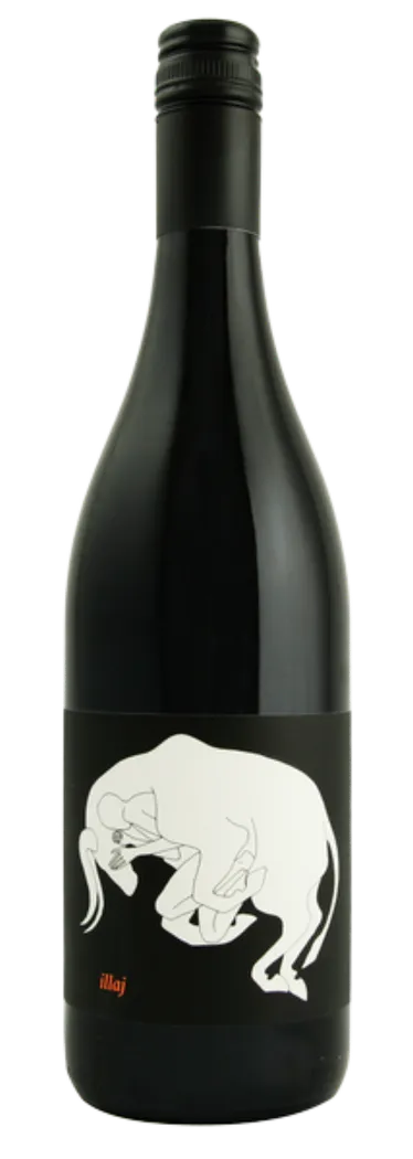 Bottle of Jamsheed Illaj Syrah from search results