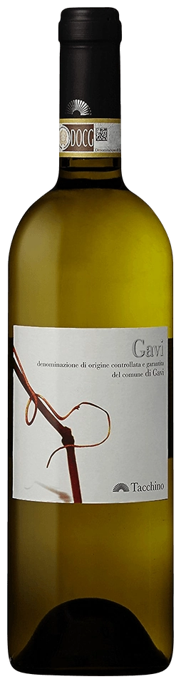 Luigi Tacchino Gavi