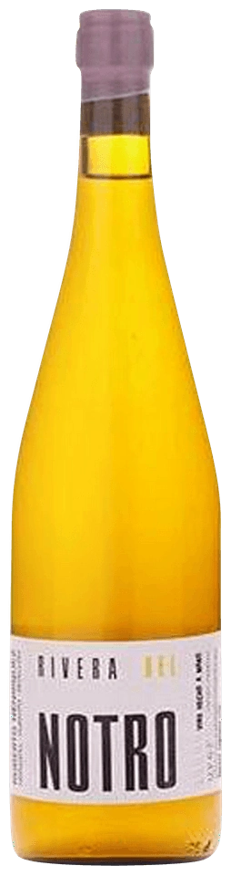 Roberto Henriquez Rivera del Notro Blanco