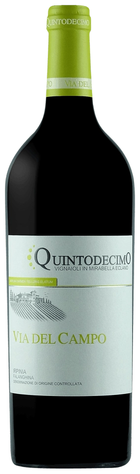 Quintodecimo Via del Campo Falanghina