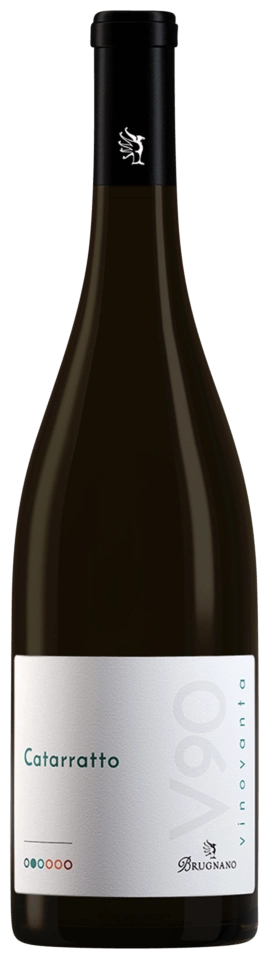 Brugnano V90 Catarratto