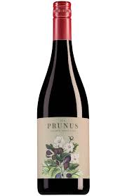 Bottle of Prunus Tinto from search results