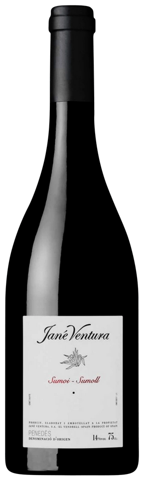 Jané Ventura Sumoll