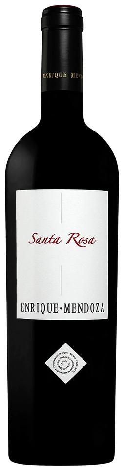 Enrique Mendoza Santa Rosa