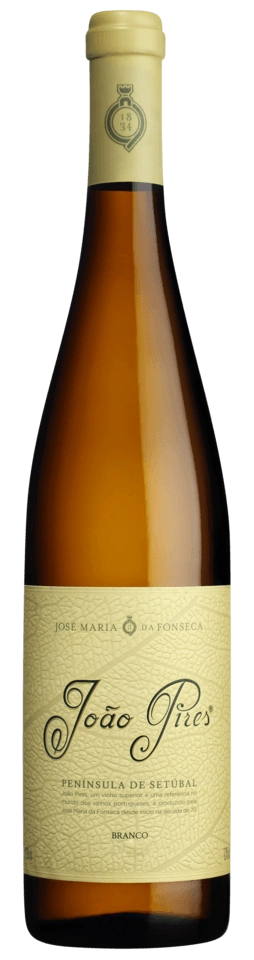 João Pires Branco