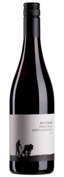 Bottle of Weingut Pflüger Pinot Noir Buntsandstein from search results