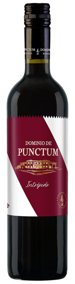 Dominio de Punctum Intrépido