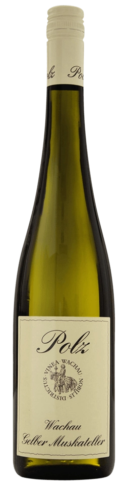 Weingut Polz Gelber Muskateller