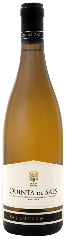 Quinta da Pellada Quinta de Saes Encruzado