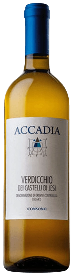 Accadia Consono Verdicchio dei Castelli di Jesi Classico
