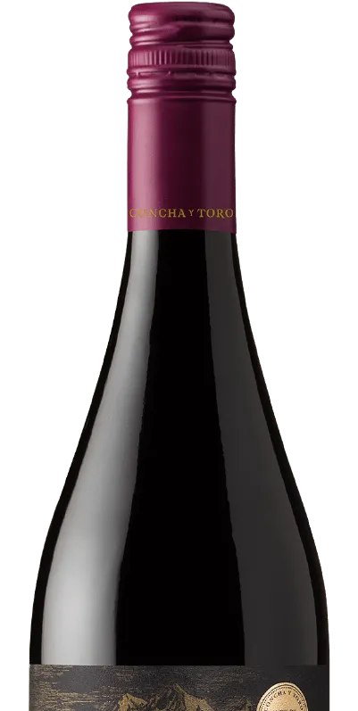 Bottle of Frontera Pinot Noir from search results