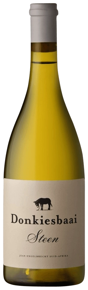 Donkiesbaai Steen