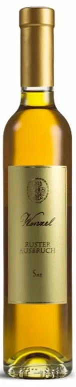 Wenzel Ruster Ausbruch Saz