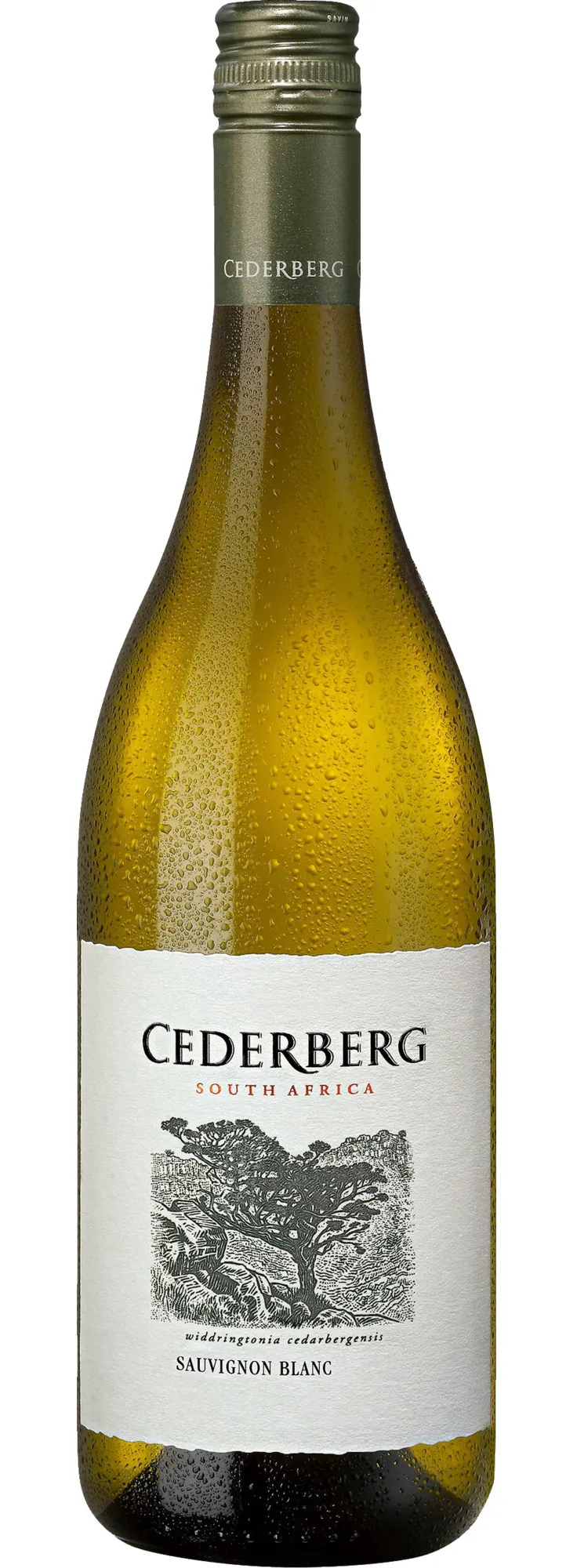 Bottle of Cederberg Sauvignon Blancwith label visible