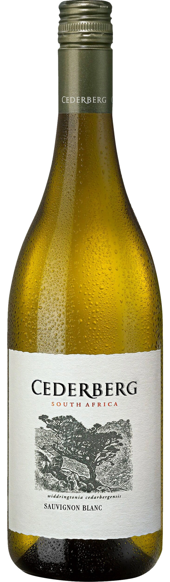 Cederberg Sauvignon Blanc