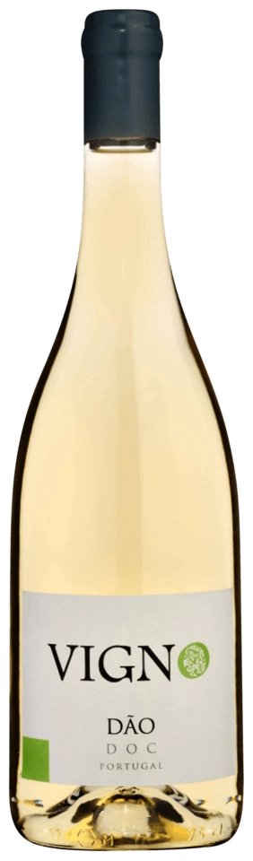 Freire Lobo Vigno Branco