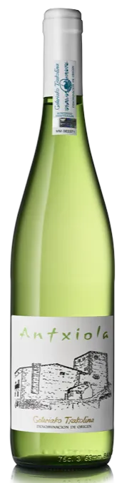 Bottle of Bodegas Zudugarai Antxiola Txakoli from search results