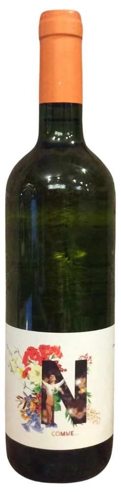 Château Haut Lavigne Nadia Blanc