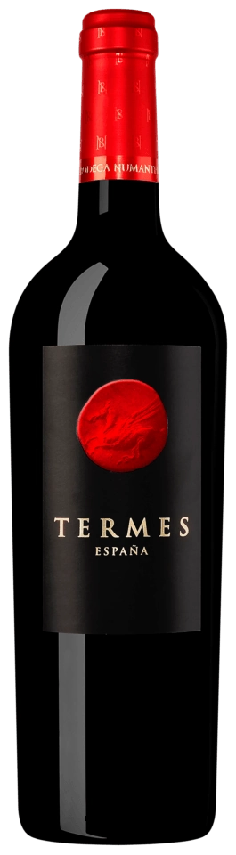 Bodega Numanthia Termes