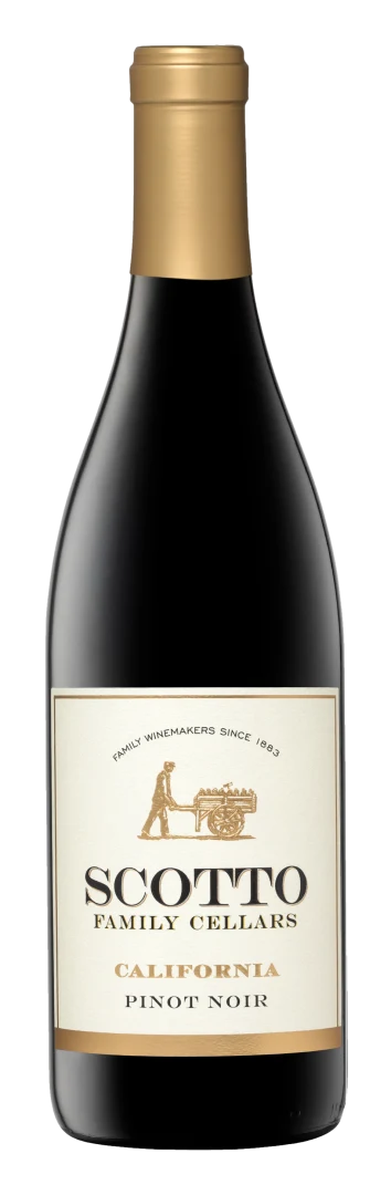 Scotto Family Cellars Pinot Noir