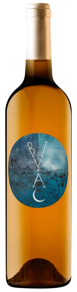 Vall Dolina Bivac
