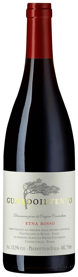 Pietro Caciorgna Guardoilvento Etna