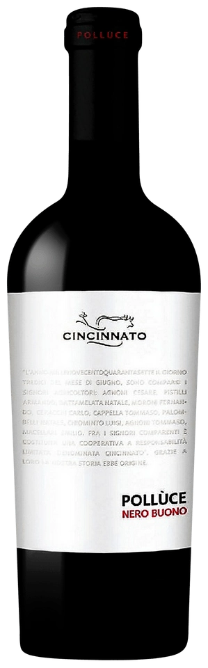 Cincinnato Pollùce Nero Buono